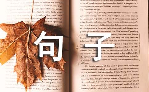 青少年学生篮球训练营发言稿_1